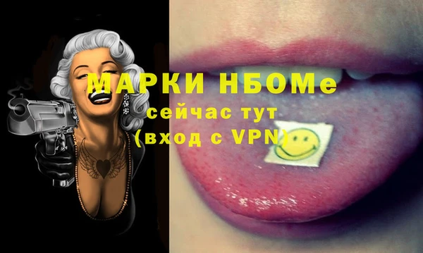 хмурый Аркадак