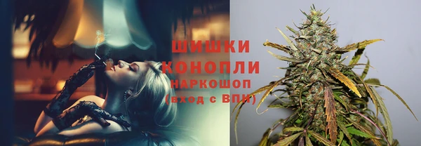 хмурый Аркадак