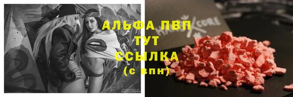 хмурый Аркадак