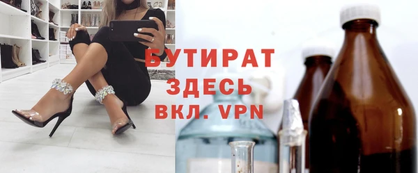 хмурый Аркадак