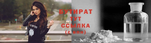 хмурый Аркадак