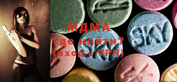 хмурый Аркадак